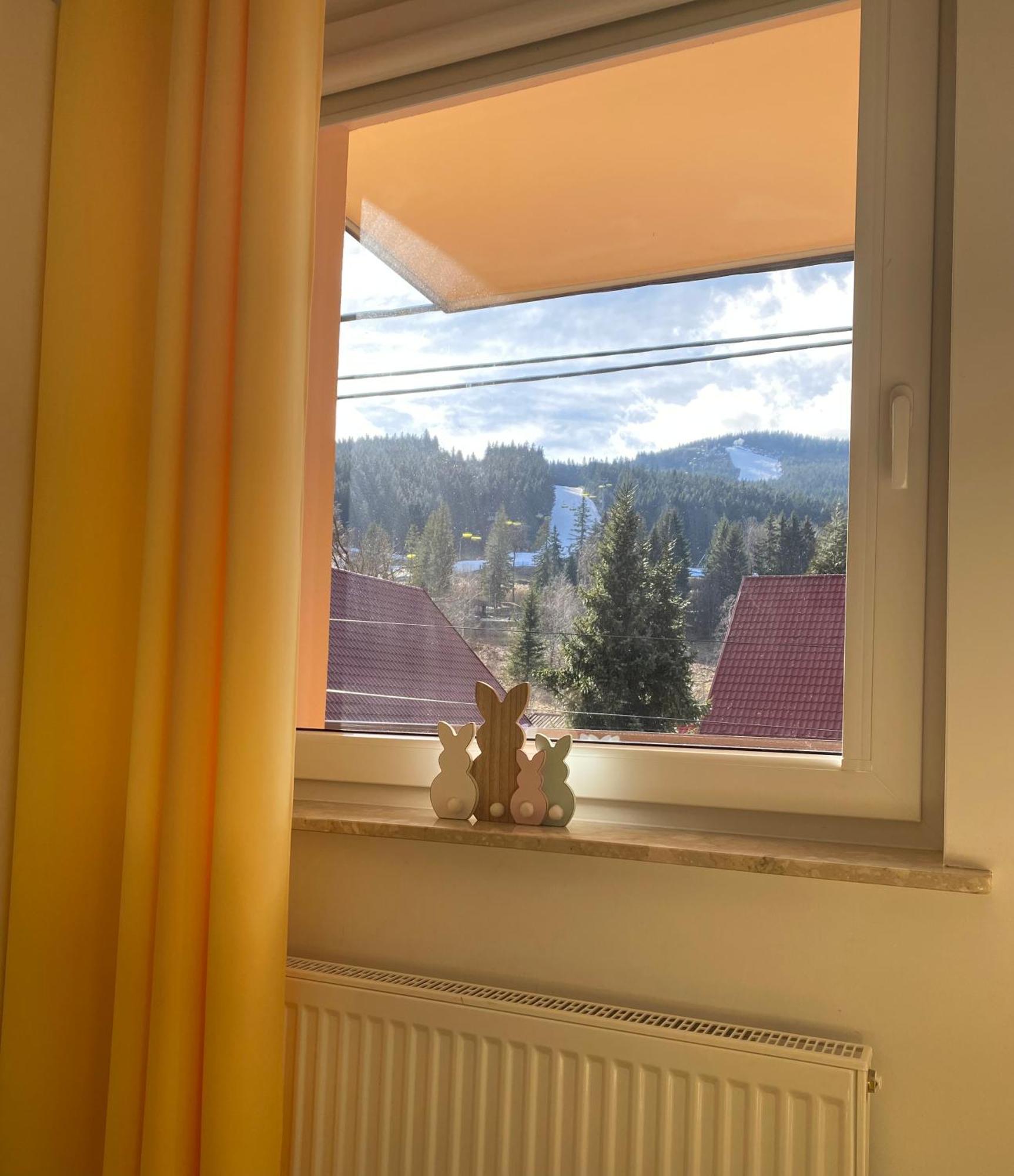 Apartamenty Pod Rudka Czarna Gora Agroturystyka Сенна Экстерьер фото